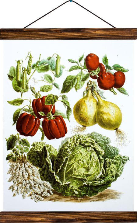 Vegetables, reprint on linen - Josef und Josefine