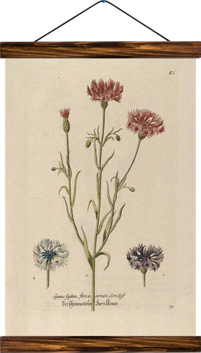 Flower, reprint on linen - Josef und Josefine