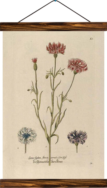 Flower, reprint on linen - Josef und Josefine