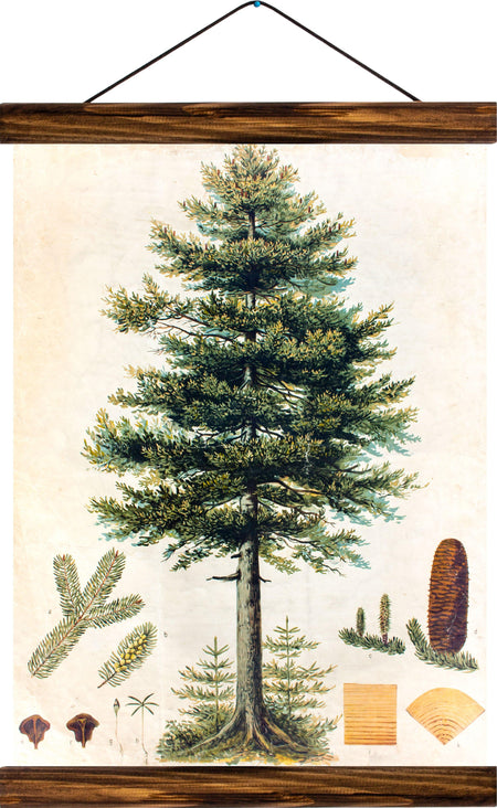 Fir tree, reprint on linen - Josef und Josefine