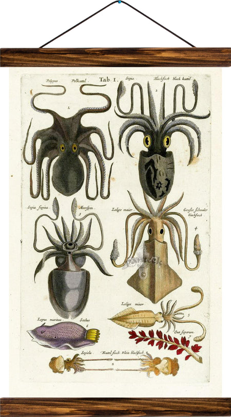 Cephalopod, reprint on linen - Josef und Josefine