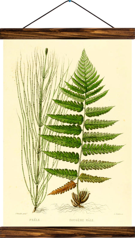 Fern, reprint on linen - Josef und Josefine