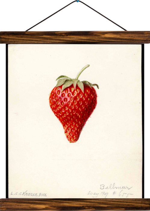 Strawberry, reprint on linen - Josef und Josefine