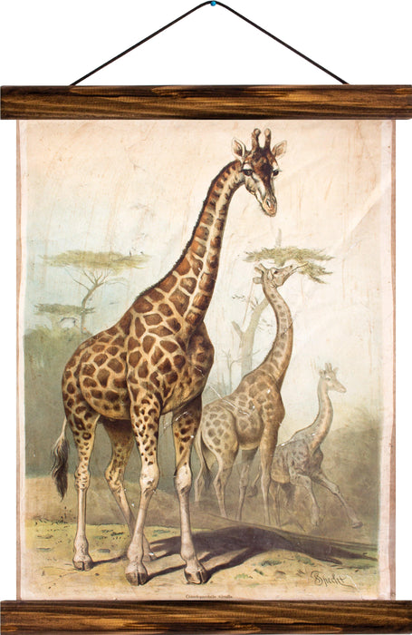 Giraffe, reprint on linen - Josef und Josefine