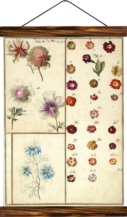 Different types of flowers, reprint on linen - Josef und Josefine