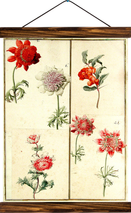 Different types of flowers, reprint on linen - Josef und Josefine