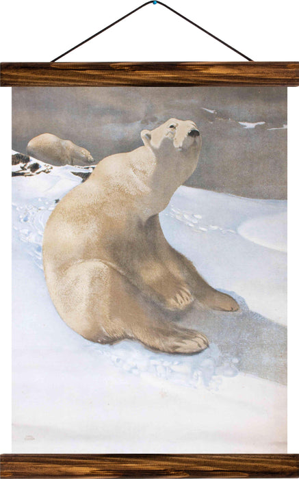 Icebear, reprint on linen - Josef und Josefine