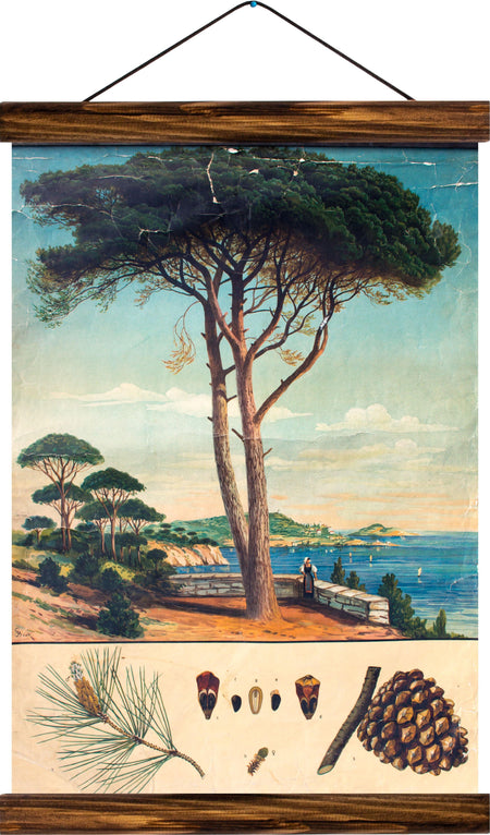 Sea pine, reprint on linen - Josef und Josefine
