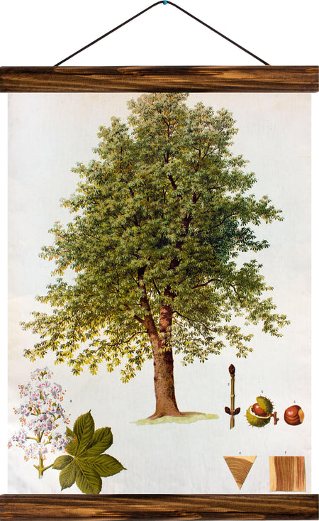 Chestnut tree, reprint on linen - Josef und Josefine