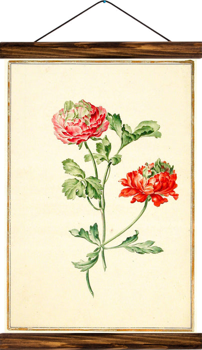 Peony, reprint on linen - Josef und Josefine