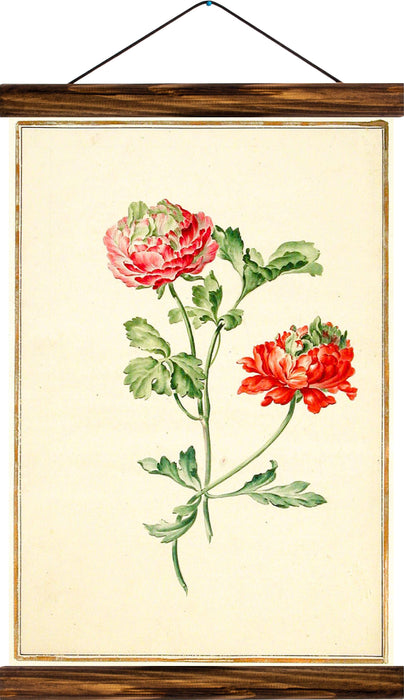 Peony, reprint on linen - Josef und Josefine