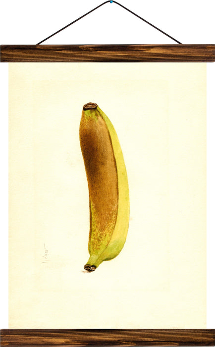 Banana, reprint on linen - Josef und Josefine
