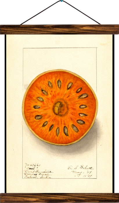Orange, reprint on linen - Josef und Josefine