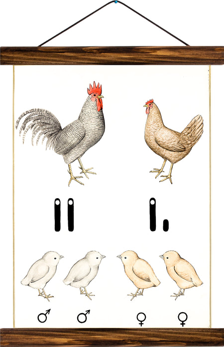 Rooster and hen, reprint on linen - Josef und Josefine