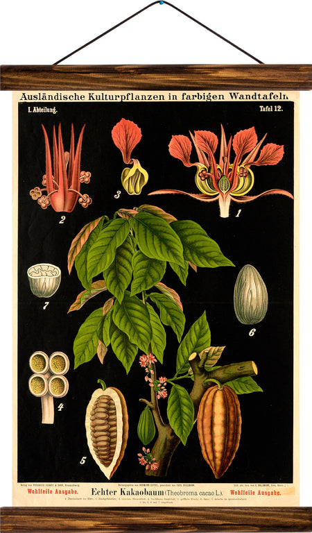 Cocoa, reprint on linen - Josef und Josefine