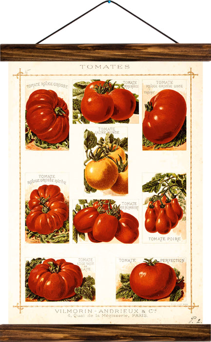 Tomatoes, reprint on linen - Josef und Josefine