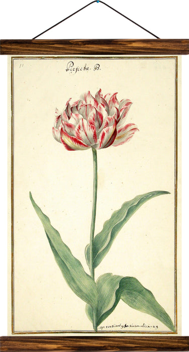 Tulip, reprint on linen - Josef und Josefine