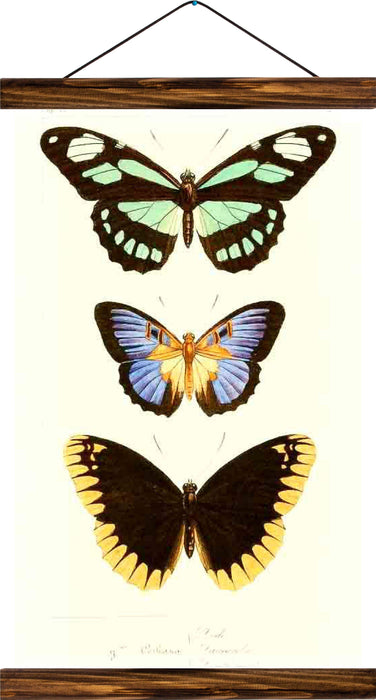 Butterflies, reprint on linen - Josef und Josefine