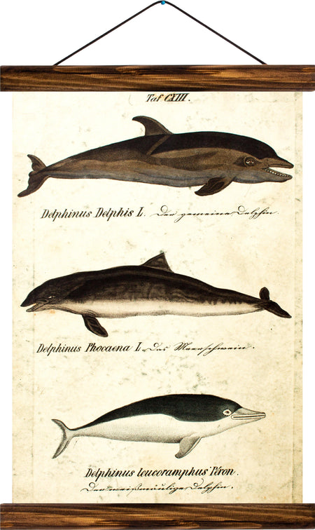 Dolphins, reprint on linen - Josef und Josefine