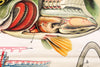 Barsch, Vintage Wall Chart Perch by Paul Pfurtscheller, 1913 - Josef und Josefine