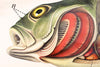 Barsch, Vintage Wall Chart Perch by Paul Pfurtscheller, 1913 - Josef und Josefine