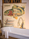Barsch, Vintage Wall Chart Perch by Paul Pfurtscheller, 1913 - Josef und Josefine