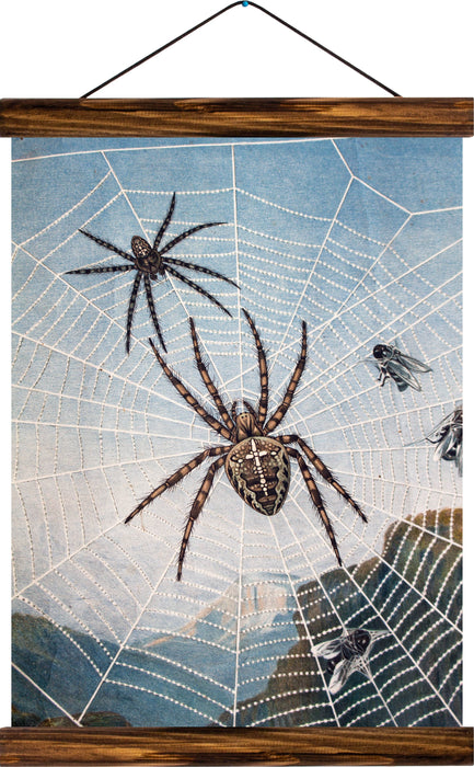 Gardenspider, reprint on linen