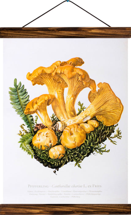 Chanterelle mushroom, reprint on linen