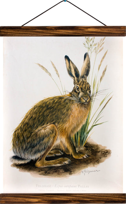 Rabbit, reprint on linen