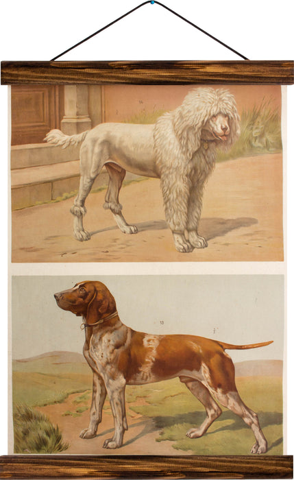 Dogs, reprint on linen