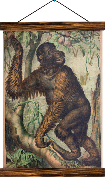 Monkey, reprint on linen