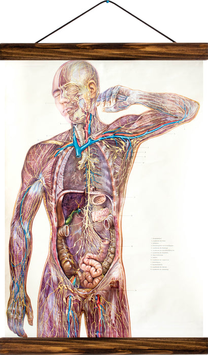 Human body, reprint on linen