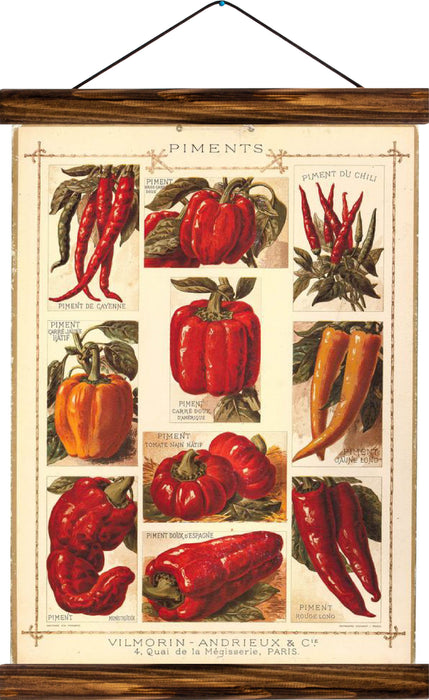Chili pepper, reprint on linen