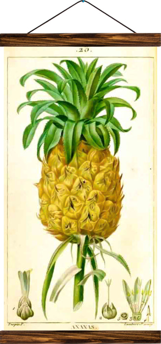 Pineapple, reprint on linen
