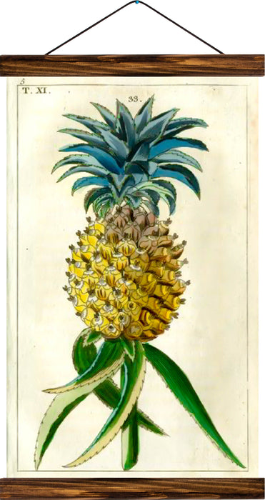 Pineapple, reprint on linen