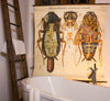 Kakerlake, Küchenschabe, Cockroach Wall Chart by Paul Pfurtscheller, 1920 - Josef und Josefine