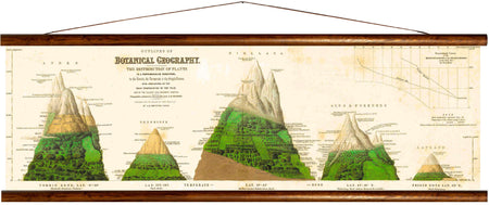 Botanical geography, reprint on linen - Josef und Josefine