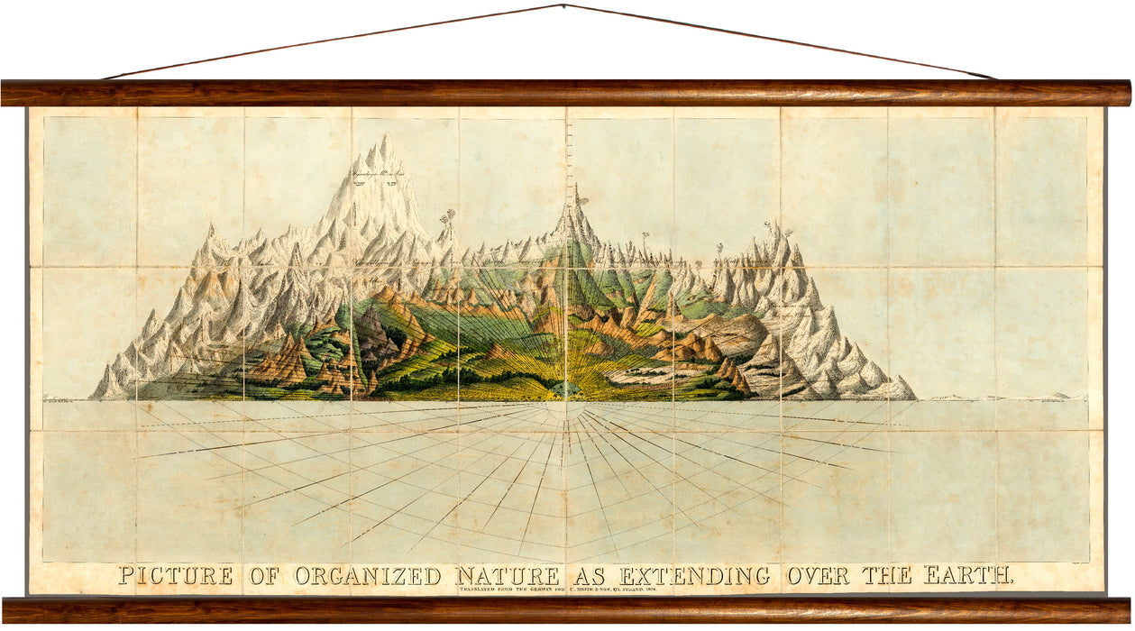 Organized nature, extending over the earth, reprint on linen - Josef und Josefine