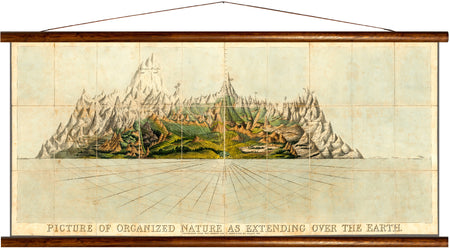 Organized nature, extending over the earth, reprint on linen - Josef und Josefine