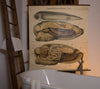 Muschel, Mussel by Paul Pfurtscheller, 1929 - Josef und Josefine