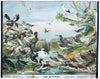 Marsh and Pond Birds, Vintage Bird Wall Chart, 1910 - Josef und Josefine