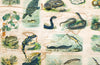 Reptiles and Amphibians, Vintage Wall Chart, 1910 - Josef und Josefine