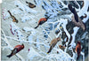 Austrian Winter Birds, Vintage Wall Chart, 1940 - Josef und Josefine