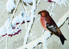 Austrian Winter Birds, Vintage Wall Chart, 1940 - Josef und Josefine