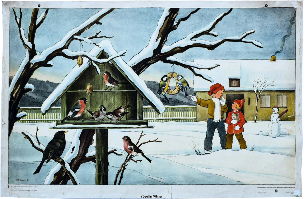 Birds in Winter, Vintage Wall Chart, 1960 - Josef und Josefine