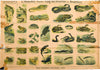 Reptiles and Amphibians, Vintage Wall Chart, 1890 - Josef und Josefine