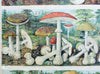 Mushrooms, Vintage Wall Chart, 1930 - Josef und Josefine