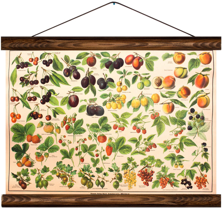 Different types of fruit, reprint on linen - Josef und Josefine