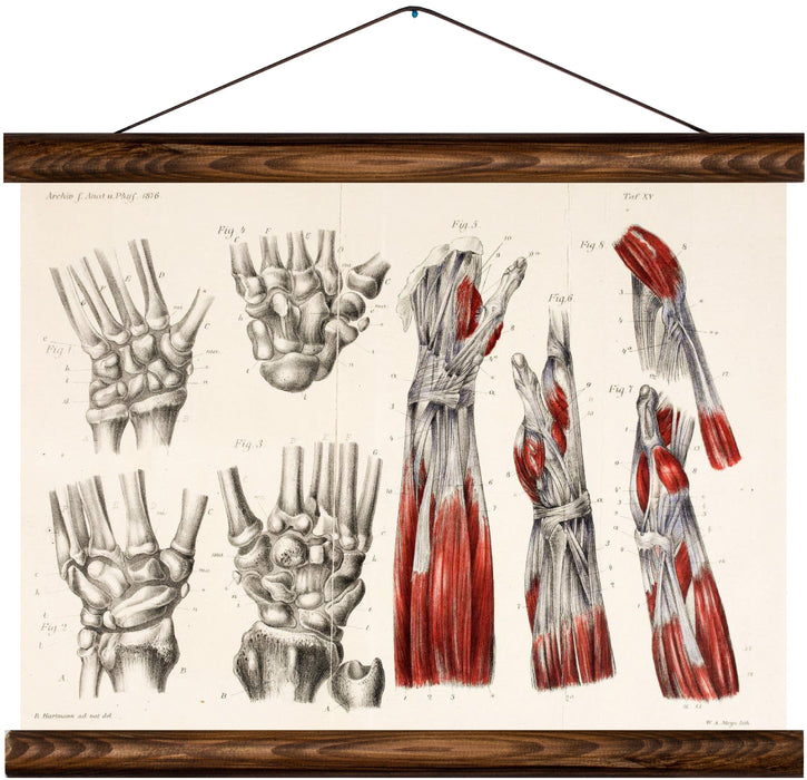 Human hand, reprint on linen - Josef und Josefine