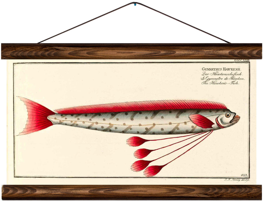 Hawken's fish, reprint on linen - Josef und Josefine